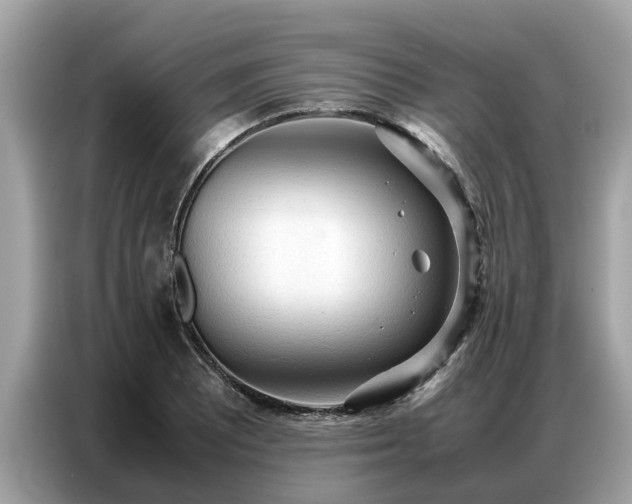 X0000087361081200704271433