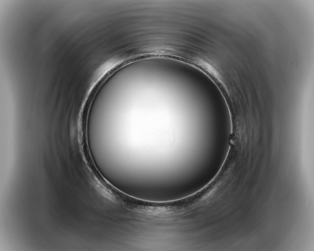 X0000087361082200704271433