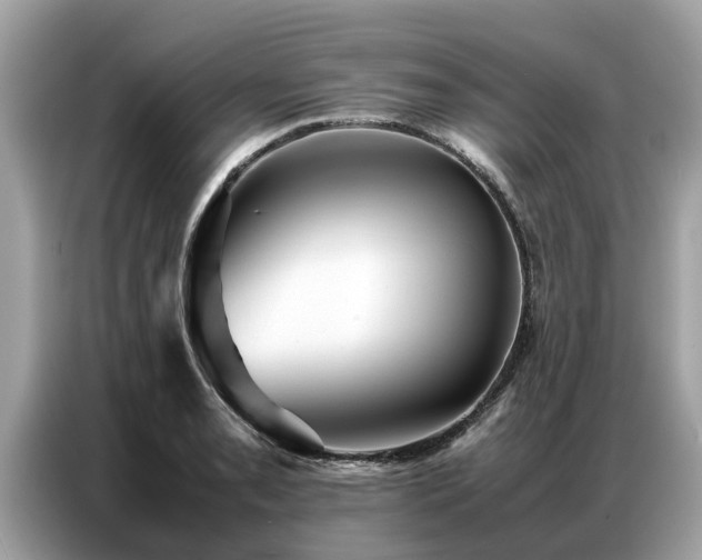 X0000087361085200704271433