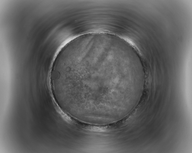 X0000087361086200704271433