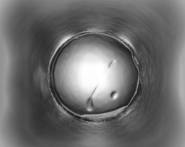 X0000087361087200704271433