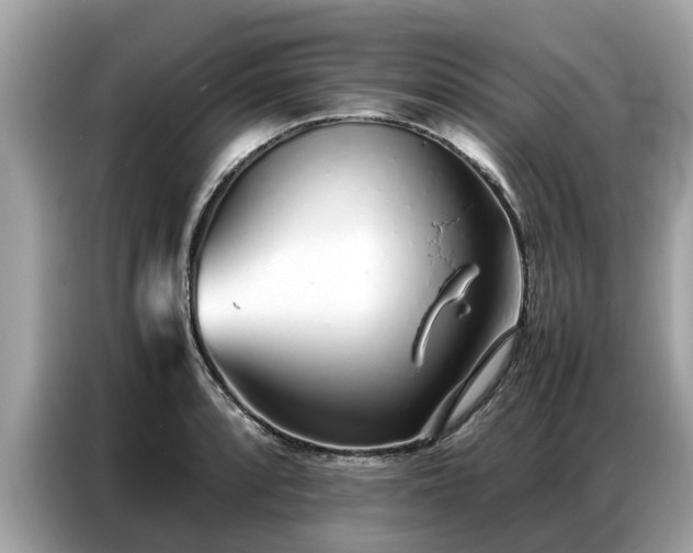 X0000087361088200704271433