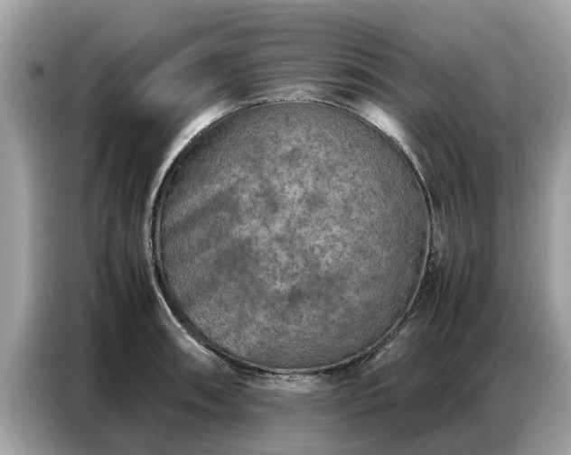 X0000087361090200704271433