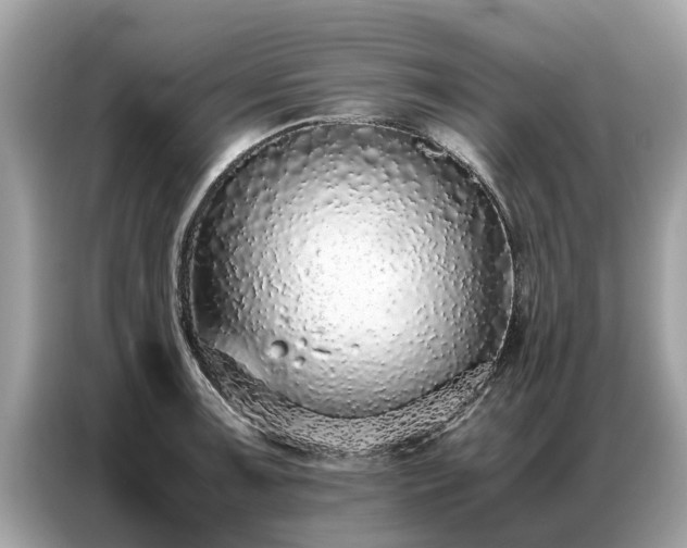 X0000087361091200704271433