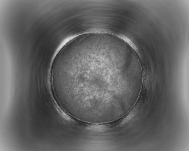 X0000087361094200704271433