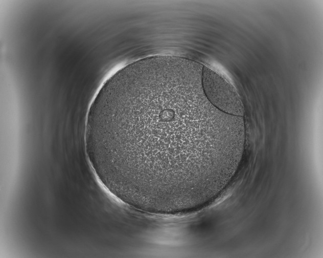 X0000087361095200704271433