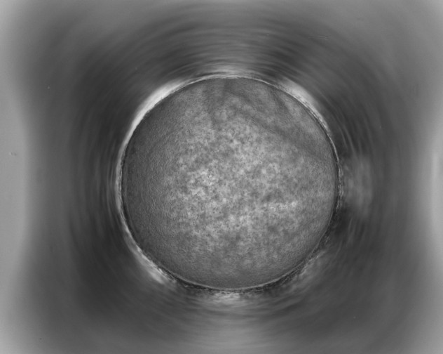 X0000087361098200704271433