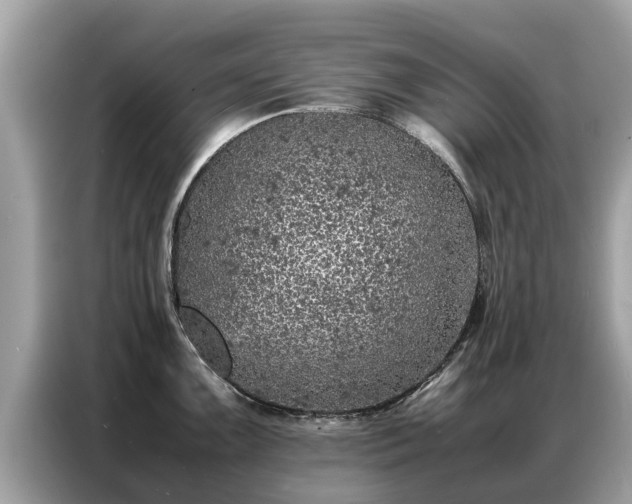 X0000087361099200704271433