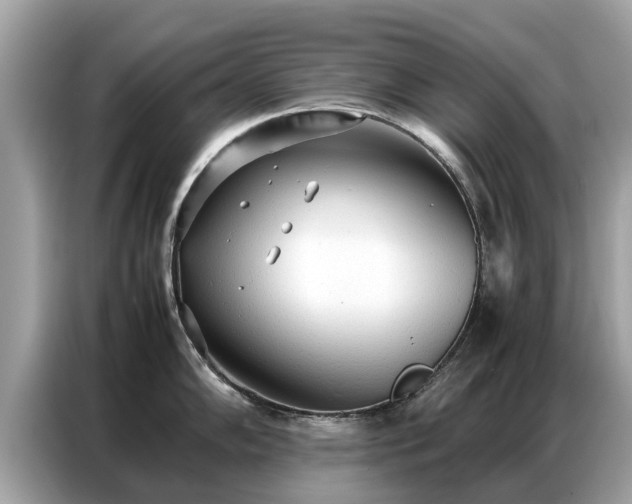 X0000087361102200704271433