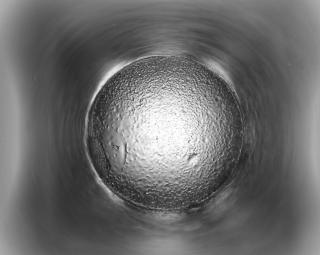 X0000087361103200704271433