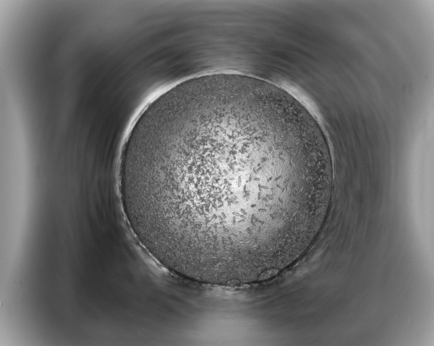 X0000087361104200704271433