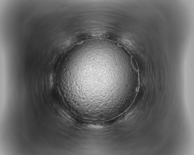 X0000087361106200704271432