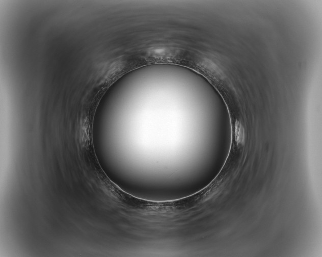 X0000087361107200704271432