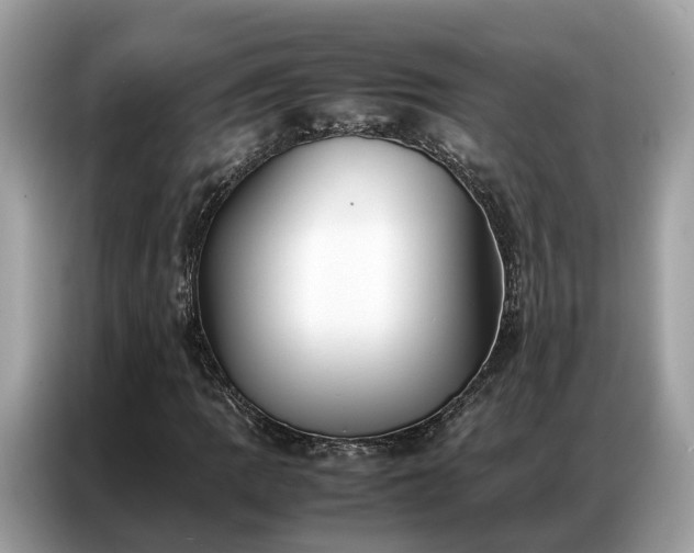 X0000087361109200704271432