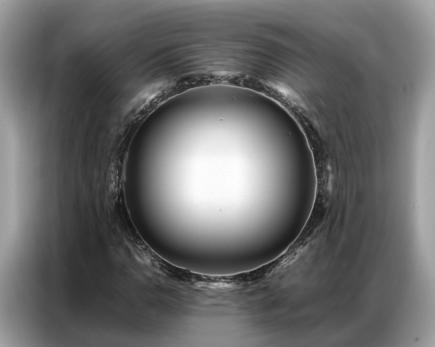 X0000087361110200704271432