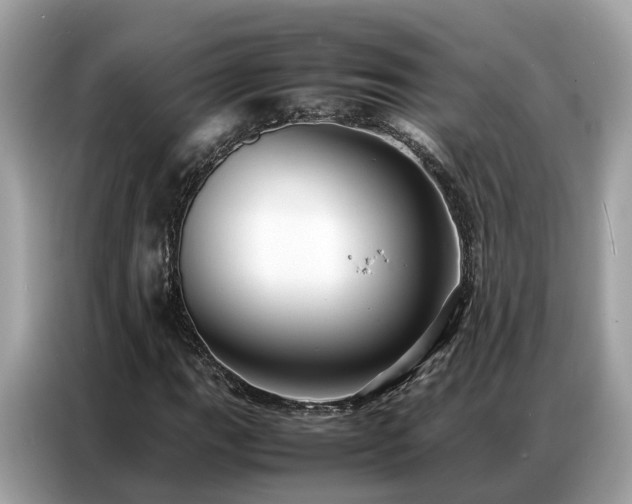 X0000087361111200704271432