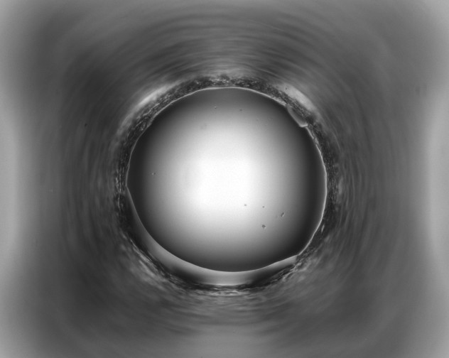 X0000087361112200704271432