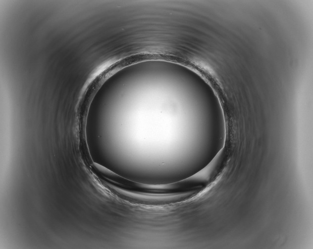 X0000087361114200704271432