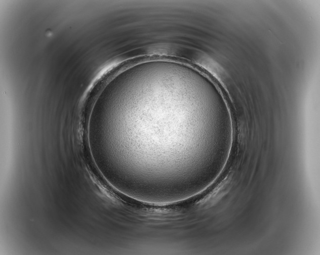 X0000087361115200704271432
