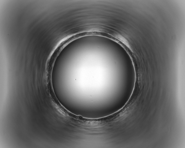 X0000087361116200704271432