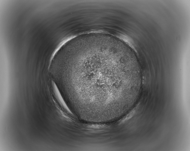 X0000087361117200704271432