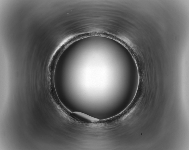 X0000087361118200704271432
