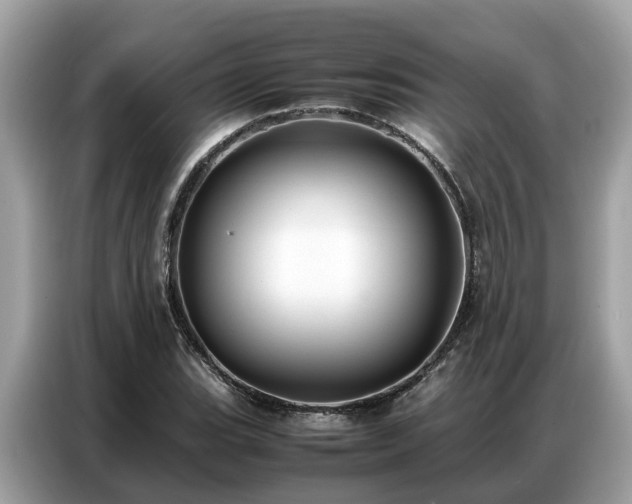 X0000087361119200704271432