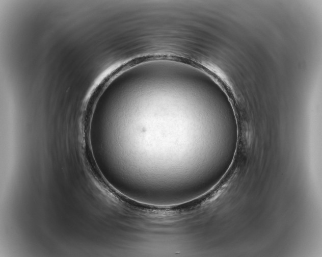 X0000087361120200704271432