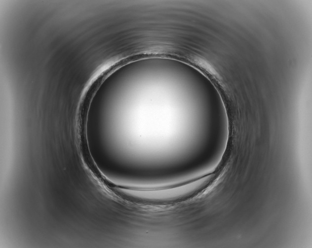 X0000087361122200704271432