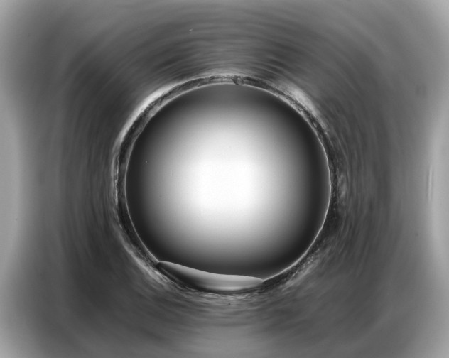 X0000087361124200704271432