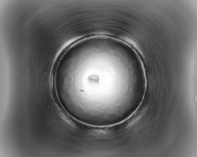 X0000087361125200704271432