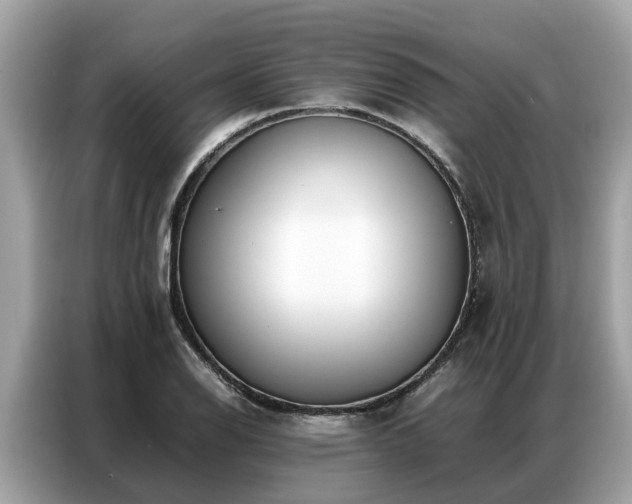 X0000087361126200704271432