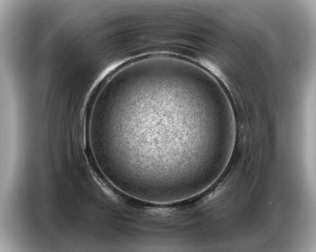 X0000087361127200704271432