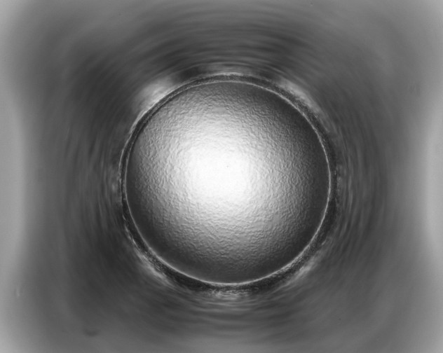 X0000087361129200704271432