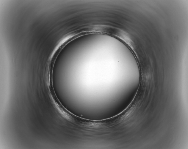 X0000087361131200704271432