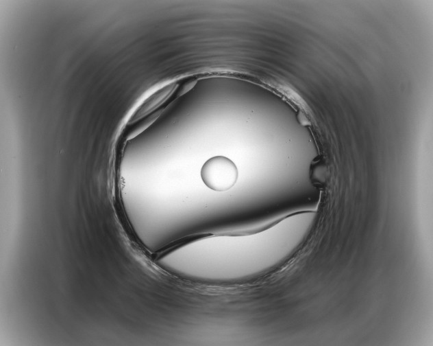 X0000087361132200704271432