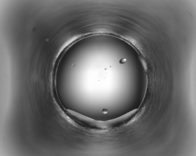 X0000087361134200704271432