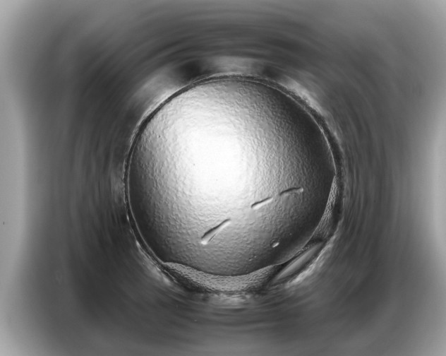 X0000087361137200704271432