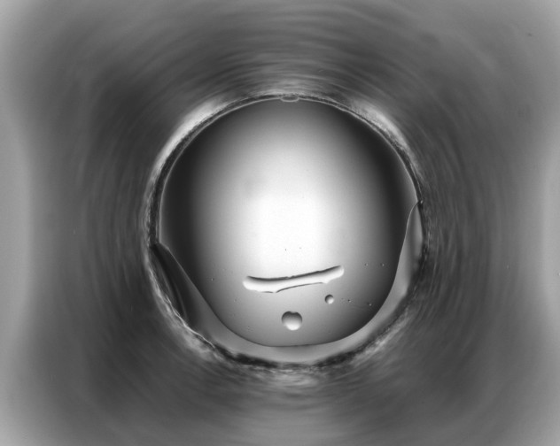X0000087361138200704271432