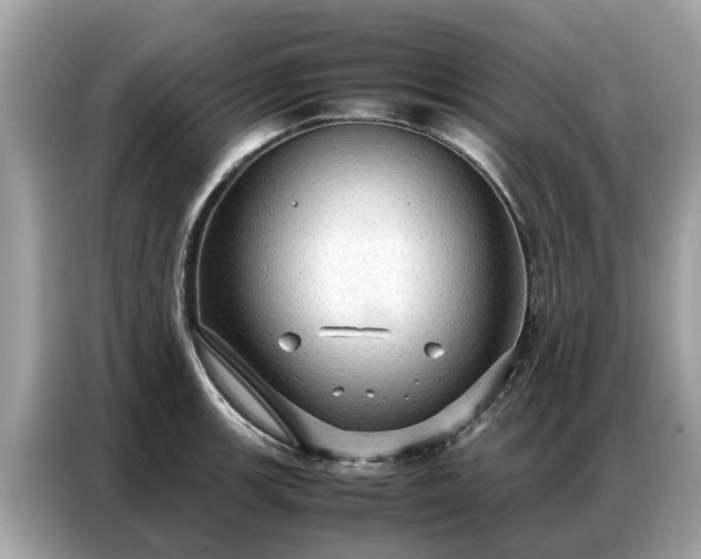 X0000087361139200704271432