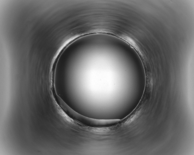 X0000087361140200704271432