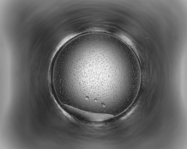 X0000087361141200704271432