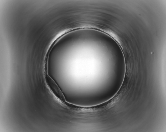 X0000087361142200704271432