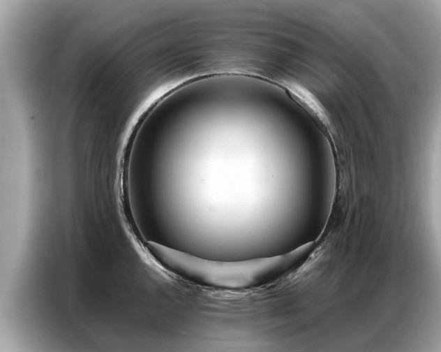 X0000087361144200704271432