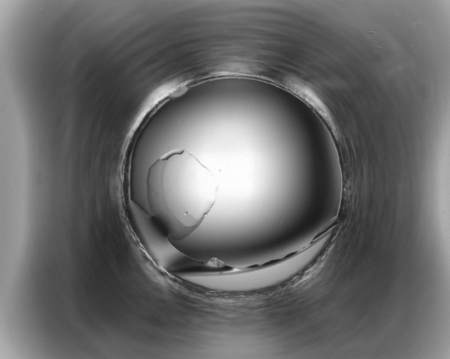 X0000087361146200704271432