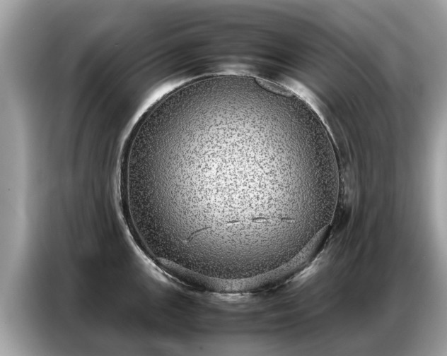 X0000087361147200704271432