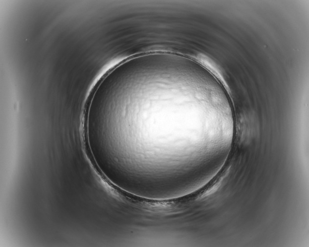 X0000087361149200704271432