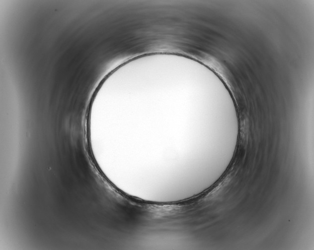 X0000087361150200704271432