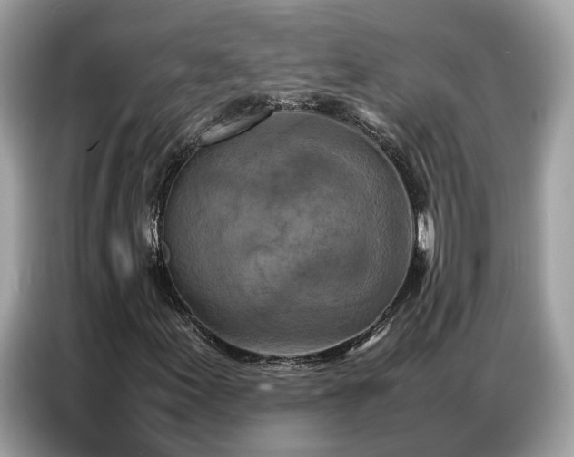 X0000087361155200704271432