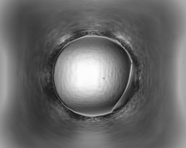 X0000087361159200704271432